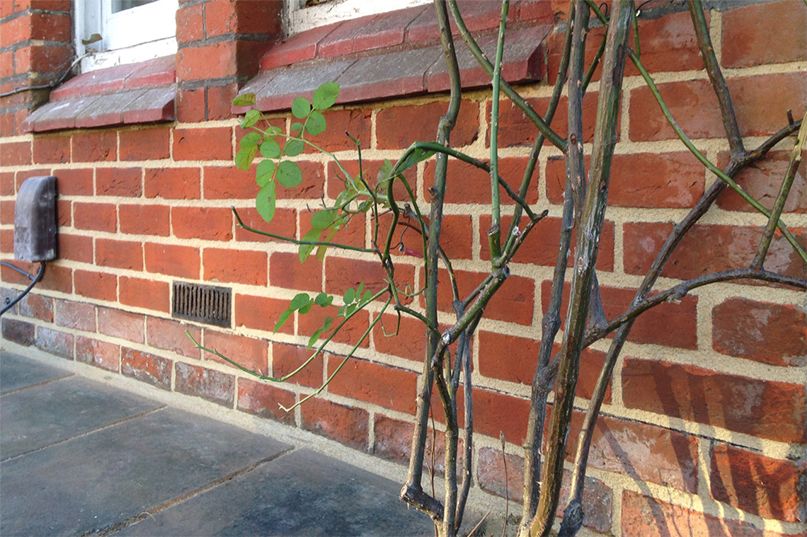 Victorian bay window lower